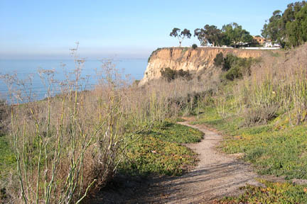 Although this hiking path from Via de las Olas down to PCH looks inviting, it is steep at the top, and there is overgrown brush on the path. There are many forks along the way, and no signage. Also, near PCH, the trail is lined with trash and the personal items of the homeless people who live in the brush nearby. (See adjoining news story.)	Photo: Laura Witsenhausen