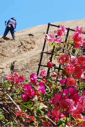 Workers clear the debris of two houses that fell off the hillside at the corner of Pacific Coast Highway and Chautauqua Boulevard in the 1994 earthquake. Ron Flury plans to build a 27,000-sq.-ft. house on the two-lot, Corona del Mar site sometime next year. Max Taves/Staff Writer