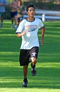 Junior Carlos Bustamante will lead Palisades' cross country team at today's City preliminaries in Woodland Hills.