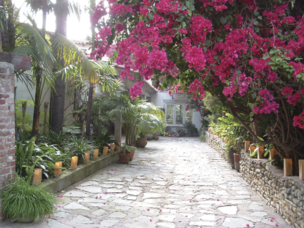 Bougainvillea graces the stone drive leading up to the Mojica Hacienda in Santa Monica Canyon. Photo: Dick Orton