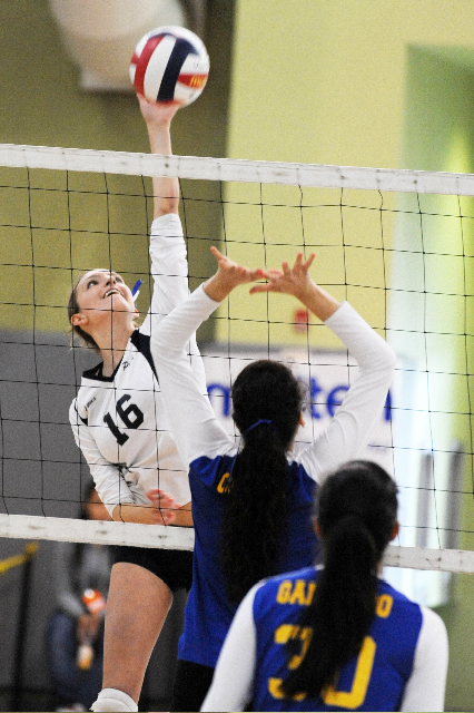 Pali Volleyball Reigns Supreme - Palisadian Post