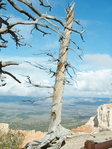 Lyne encountered this vista point in southern Utah when he worked as adventure trek leader. Photo: Tim Lyne