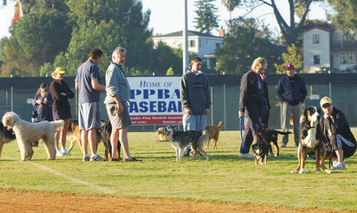 Early Monday morning at the Field of Dreams at the Palisades Park Recreation Center, dog owners break the law by allowing their pets off-leash. One owner is ready to clean up after her dog, but not all owners are so responsible, which leaves children at the risk of disease transmission through ascarids and hookworms found in pet feces.
