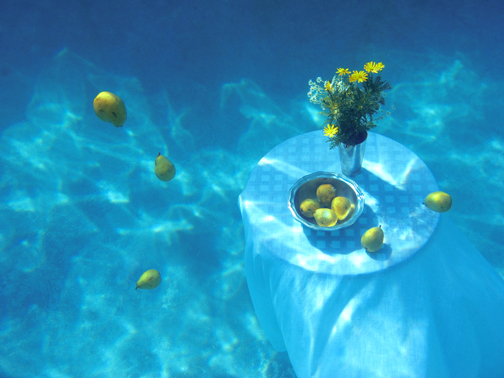 JARED ROSEN has worked as an intern photographer for the Palisadian-Post. He will attend Harvard this fall, majoring in biology. (This image was taken with an underwater camera, and no, is not Photoshopped.)