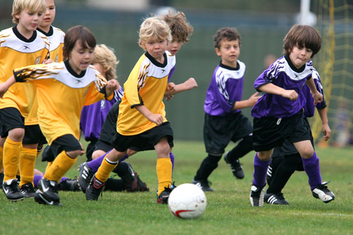 Coach Raul Ferrero's Lightning Bolts (yellow) played coach Matthew Lublin's Fire Snakes (purple) at the Palisades Recreation Center. U6 players (left to right) are Benjamin Klyce, Sammi Petrocelli (partially hidden), Logan Rosen, Vance Hranek, Gio Batista and Joe Roberts.
