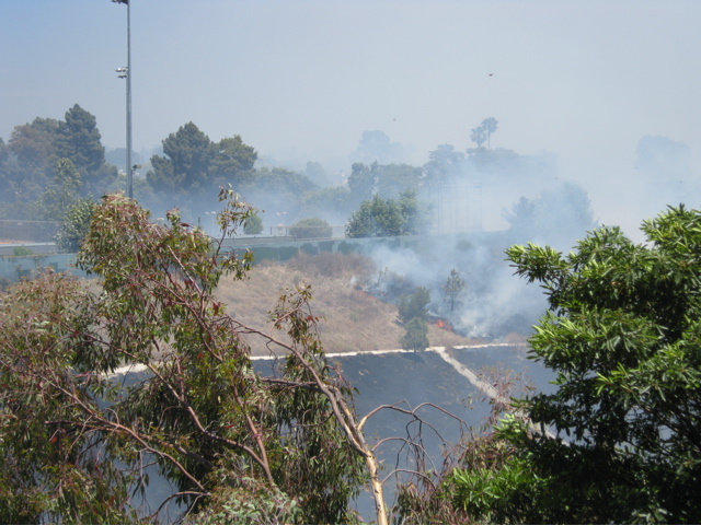 A fire broke out Tuesday afternoon in Potrero Canyon, threatening homes on both sides of the canyon. The cause of the fire is being investigated. Photo: Ann Major