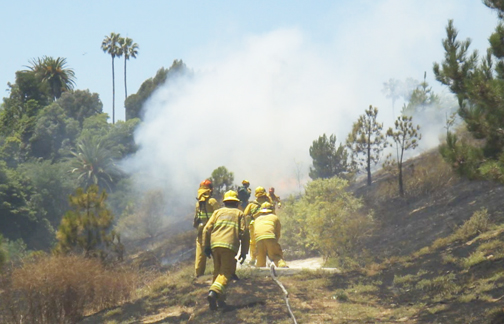 Firefighters knocked down two simultaneous blazes in upper Potrero Canyon last Wednesday afternoon, including this hillside area below the Palisades Recreation Center. Photo: Steve Bellamy
