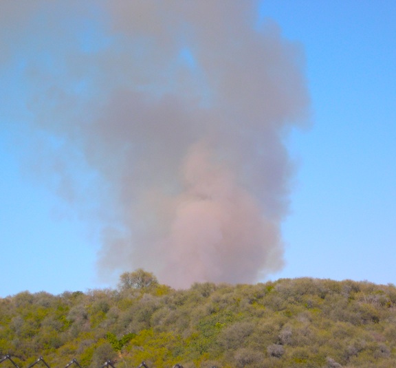 This photo of the Sepulveda Pass fire was taken from upper Chautauqua Boulevard in Pacific Palisades.