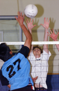 Noah Kauss (facing) was Palisades' kill leader Monday at University. The Dolphins swept to remain in first place in the Western League.