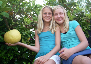 Mia Meronen, 12, holds a gigantic grapefruit produced by a grafted tree in the family front yard on Enchanted Way in Marquez Knolls. She's joined by her sister, Hayley, 13.