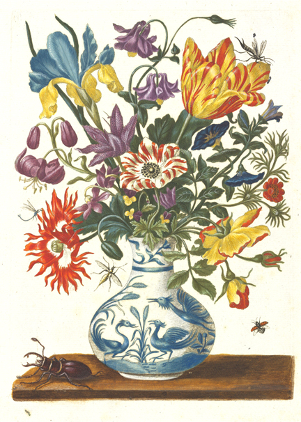 A piece by artist/naturalist Maria Sibylla Merian, the subject of a new Getty Center exhibition.
