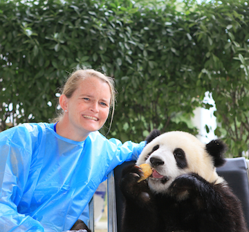 Palisadian Shea Morris, a Village School kindergarten teacher, visited the panda kindergarten at the Bifengxia Panda Base.