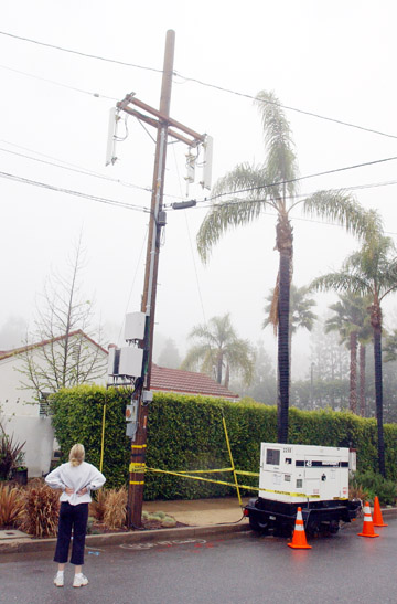 Mary Lou Piccard plans to fight the installation of this cell tower located on the parkway in front of her home on Iliff. The diesel generator's noise and fumes have prevented her and her neighbor from opening their windows because of the noise and fumes.