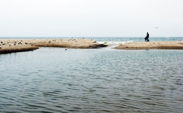 Will Rogers State Beach, at the mouth of Santa Monica Canyon, is the second most polluted beach in California, according to Heal the Bay's Beach Report Card, released last week.