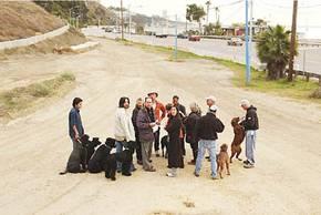 Nine members of PaliDog toured the proposed off-leash dog park site, located adjacent to PCH near the mouth of Potrero Canyon, with their dogs Tuesday afternoon.