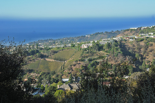 The half-mile long Phil Leacock Memorial Trail, which begins off upper Bienveneda Avenue, offers this dramatic ocean view after passing the Bienveneda Trail junction. Notice the hillside vineyard above Bienveneda, owned and developed by a local resident.  Photo: James Kenney