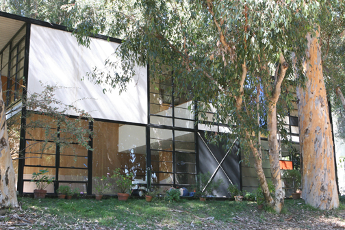 The facade of the Eames House (Case Study House No. 8) off Chautauqua Boulevard, as seen from the meadow, with historic eucalyptus trees in the foreground. This house, designed and built in 1949 by Ray and Charles Eames, is west of the Entenza House (Case Study House No. 9). Rich Schmitt/Staff Photographer