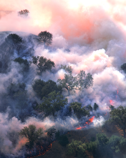 A fire burns through live oak woodlands. 'It is difficult to convey the importance, the scale and the fear of fire in a photograph, especially when you don't have any human scale like a house,' Gamache says. Photo: Tom Ganche