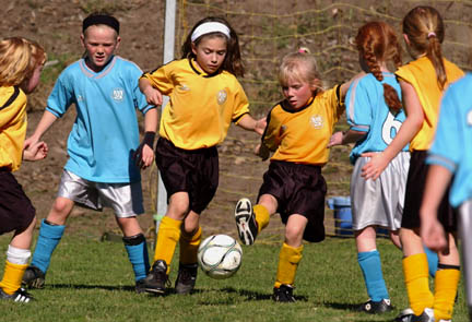 A Golden Girl boots the ball towards the Blue Dolphins' net. The Golden Girls, coached by David Markman, took first place in their pool.