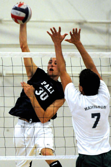 Dolphins junior Alex Frapech rises high for a kill at home against Hamilton on March 14. Frapech's slams helped Pali beat Venice on Monday in straight sets.  Rich Schmitt/Staff Photographer