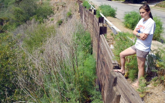 Haley Orr stands above a wooden bulkhead on Via de las Olas. The city could begin installing a new bulkhead there as soon as July, using federal funding that Orr helped acquire by petitioning Congressman Henry Waxman.