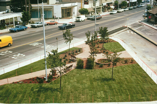 Marge Gold, newly elected president of the Village Green Committee, found this photograph in the committee's archives, which are stored in boxes at the Chamber of Commerce office on Antioch Street. The photo shows the Green soon after the first stage of landscaping was completed in August 1973 (