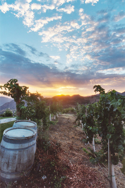 The Saddlerock Ranch in Malibu, owned by the Semler family, started making Cabernet Sauvignon in 2000. Now they are also producing Merlot and Syrah, all under the Semler and Saddlerock labels. Photo: The Semler family